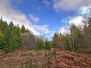 Nanaimo Real Estate - 1850 Nanaimo River Road